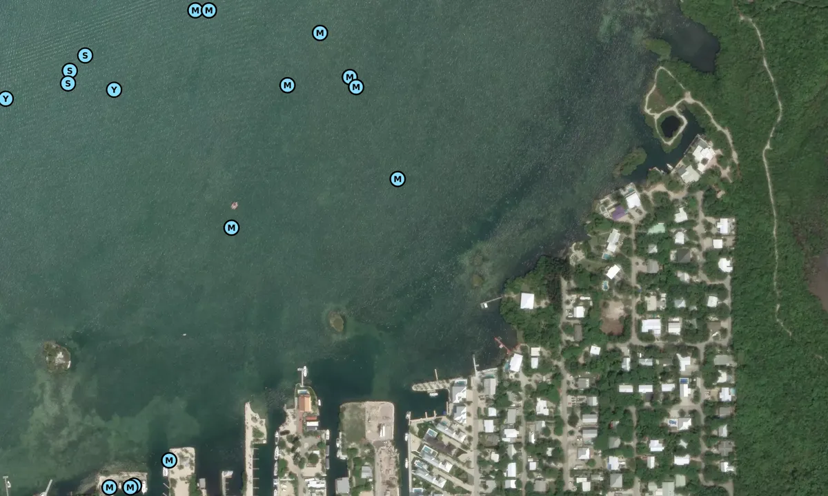 Satelite image of 50th Street Gulf