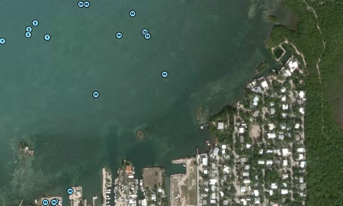 Satelite image of 50th Street Gulf