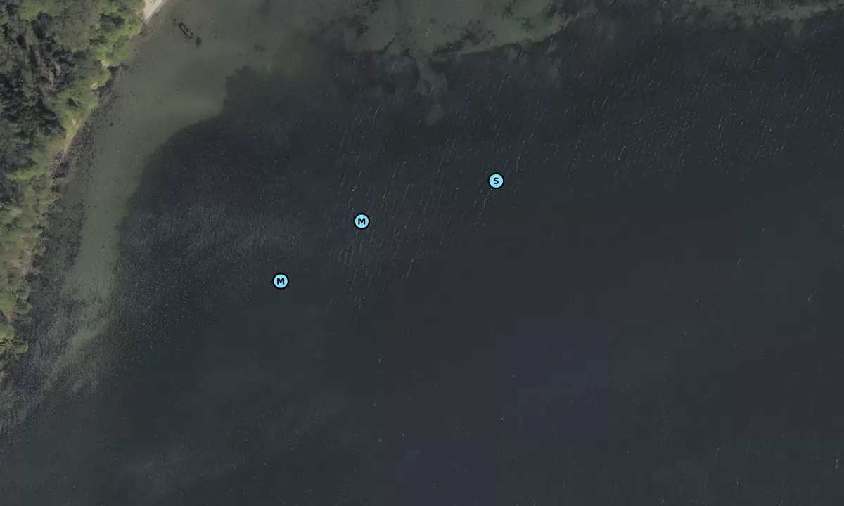 Satelite image of Åbæk Bugt E bouy