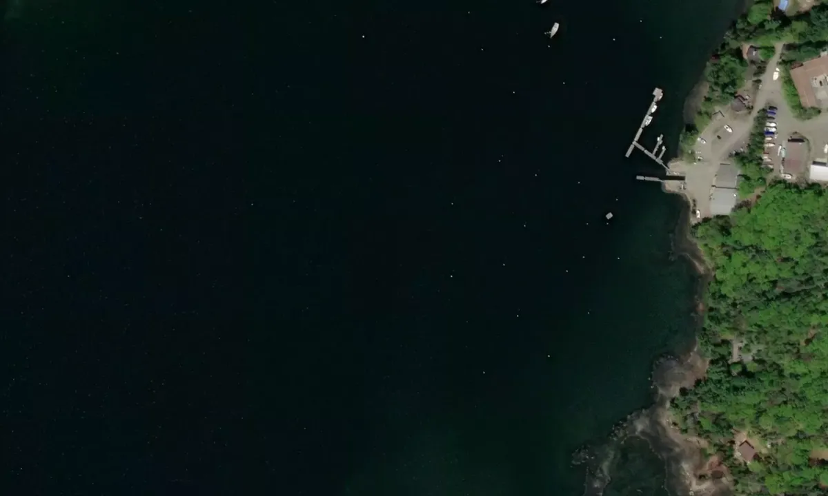 Flyfoto av Abel Marina