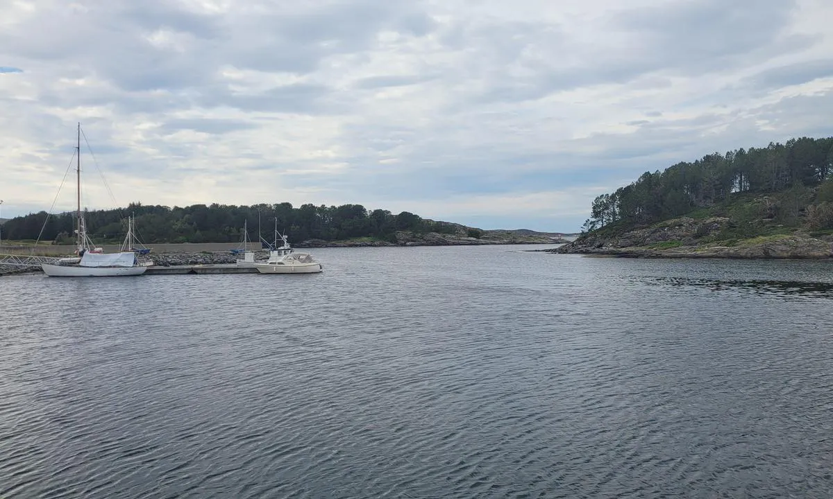 Abelvær Båtlag: {"base": "no", "no": "Innseilingen er fra s\u00f8rvest, med noen faste plasser rett innenfor moloen", "se": "Inseglingen \u00e4r fr\u00e5n sydv\u00e4st, med n\u00e5gra fasta platser precis innanf\u00f6r piren", "en": "The approach is from the southwest, with some fixed berths just inside the breakwater", "da": "Indsejlingen er fra sydvest, med nogle faste pladser lige inden for molen", "fr": "L'entr\u00e9e se fait par le sud-ouest, avec quelques places fixes juste \u00e0 l'int\u00e9rieur de la jet\u00e9e.", "de": "Die Zufahrt erfolgt von S\u00fcdwesten, mit einigen festen Liegepl\u00e4tzen direkt innerhalb der Mole", "es": "La entrada es desde el suroeste, con algunos lugares fijos justo dentro del rompeolas.", "it": "L'ingresso \u00e8 da sud-ovest, con alcuni posti fissi appena all'interno del molo", "pt": "A entrada \u00e9 a partir do sudoeste, com alguns lugares fixos logo dentro do quebra-mar", "nl": "De aanloop is vanuit het zuidwesten, met enkele vaste plaatsen direct binnen de golfbreker", "pl": "Wp\u0142yni\u0119cie do portu jest od po\u0142udniowego zachodu, z kilkoma sta\u0142ymi miejscami zaraz za falochronem", "uk": "\u0412\u0445\u0456\u0434 \u0456\u0437 \u043f\u0456\u0432\u0434\u0435\u043d\u043d\u043e\u0433\u043e \u0437\u0430\u0445\u043e\u0434\u0443, \u0437 \u043a\u0456\u043b\u044c\u043a\u043e\u043c\u0430 \u043f\u043e\u0441\u0442\u0456\u0439\u043d\u0438\u043c\u0438 \u043c\u0456\u0441\u0446\u044f\u043c\u0438 \u043f\u0440\u044f\u043c\u043e \u0432\u0441\u0435\u0440\u0435\u0434\u0438\u043d\u0456 \u043c\u043e\u043b\u0443.", "ro": "Intrarea este din sud-vest, cu c\u00e2teva locuri fixe chiar \u00een interiorul digului", "tr": "Liman giri\u015fi g\u00fcneybat\u0131dan olup, mendire\u011fin hemen i\u00e7inde birka\u00e7 sabit yer vard\u0131r.", "el": "\u0397 \u03b5\u03af\u03c3\u03bf\u03b4\u03bf\u03c2 \u03b5\u03af\u03bd\u03b1\u03b9 \u03b1\u03c0\u03cc \u03bd\u03bf\u03c4\u03b9\u03bf\u03b4\u03c5\u03c4\u03b9\u03ba\u03ac, \u03bc\u03b5 \u03bf\u03c1\u03b9\u03c3\u03bc\u03ad\u03bd\u03b5\u03c2 \u03c3\u03c4\u03b1\u03b8\u03b5\u03c1\u03ad\u03c2 \u03b8\u03ad\u03c3\u03b5\u03b9\u03c2 \u03b1\u03ba\u03c1\u03b9\u03b2\u03ce\u03c2 \u03bc\u03ad\u03c3\u03b1 \u03b1\u03c0\u03cc \u03c4\u03bf \u03bc\u03cc\u03bb\u03bf", "cs": "P\u0159\u00edjezd je z jihoz\u00e1padu, s n\u011bkolika pevn\u00fdmi m\u00edsty hned za vlnolamem", "hu": "A bej\u00e1rat d\u00e9lnyugatr\u00f3l van, n\u00e9h\u00e1ny \u00e1lland\u00f3 hellyel k\u00f6zvetlen\u00fcl a m\u00f3l\u00f3n bel\u00fcl", "fi": "Sis\u00e4\u00e4najo on lounaasta, ja joitakin kiinteit\u00e4 paikkoja heti aallonmurtajan sis\u00e4puolella", "bg": "\u0412\u0445\u043e\u0434\u044a\u0442 \u0432 \u043f\u0440\u0438\u0441\u0442\u0430\u043d\u0438\u0449\u0435\u0442\u043e \u0435 \u043e\u0442 \u044e\u0433\u043e\u0437\u0430\u043f\u0430\u0434, \u0441 \u043d\u044f\u043a\u043e\u043b\u043a\u043e \u043f\u043e\u0441\u0442\u043e\u044f\u043d\u043d\u0438 \u043c\u0435\u0441\u0442\u0430 \u0442\u043e\u0447\u043d\u043e \u0437\u0430\u0434 \u0432\u044a\u043b\u043d\u043e\u043b\u043e\u043c\u0430.", "sr": "\u0423\u043b\u0430\u0437\u0430\u043a \u0443 \u043b\u0443\u043a\u0443 \u0458\u0435 \u0441\u0430 \u0458\u0443\u0433\u043e-\u0437\u0430\u043f\u0430\u0434\u0430, \u0441\u0430 \u043d\u0435\u043a\u043e\u043b\u0438\u043a\u043e \u0441\u0442\u0430\u043b\u043d\u0438\u0445 \u043c\u0435\u0441\u0442\u0430 \u043d\u0435\u043f\u043e\u0441\u0440\u0435\u0434\u043d\u043e \u0438\u0437\u0430 \u043c\u043e\u043b\u0430.", "et": "Sissep\u00e4\u00e4s on edelast, kai sees on m\u00f5ned kindlad kohad", "lv": "Iebrauk\u0161ana ir no dienvidrietumiem, ar da\u017e\u0101m past\u0101v\u012bg\u0101m viet\u0101m tie\u0161i aiz molas", "lt": "\u012eplaukimas yra i\u0161 pietvakari\u0173, su keliomis nuolatin\u0117mis vietomis tiesiai u\u017e mol\u0173"}