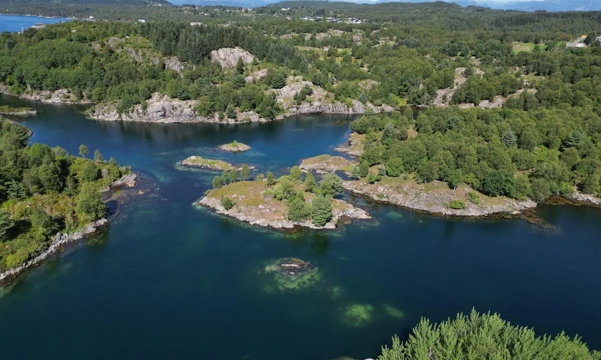 Ådnøya: {"base": "no", "no": "Eit flott omr\u00e5de", "se": "Ett fantastiskt omr\u00e5de", "en": "A beautiful area", "da": "Et flot omr\u00e5de"}