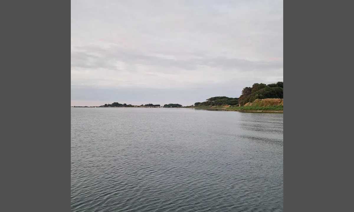 Ærø - Revkrog (Borgenæs Bugt): {"base": "no", "no": "Mot \u00f8st", "se": "Mot \u00f6st", "en": "To the east", "da": "Mod \u00f8st"}