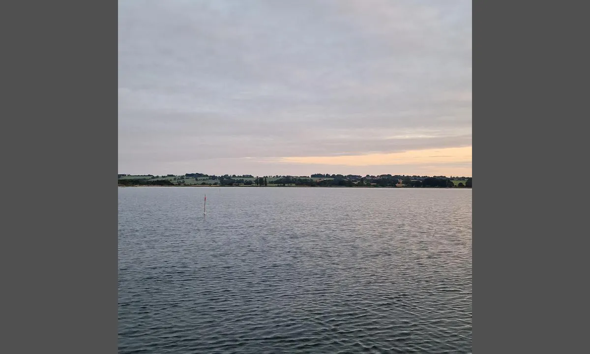 Ærø - Revkrog (Borgenæs Bugt): {"base": "se", "no": "Mot s\u00f8r", "se": "Mot syd", "en": "Towards the south", "da": "Mod syd"}