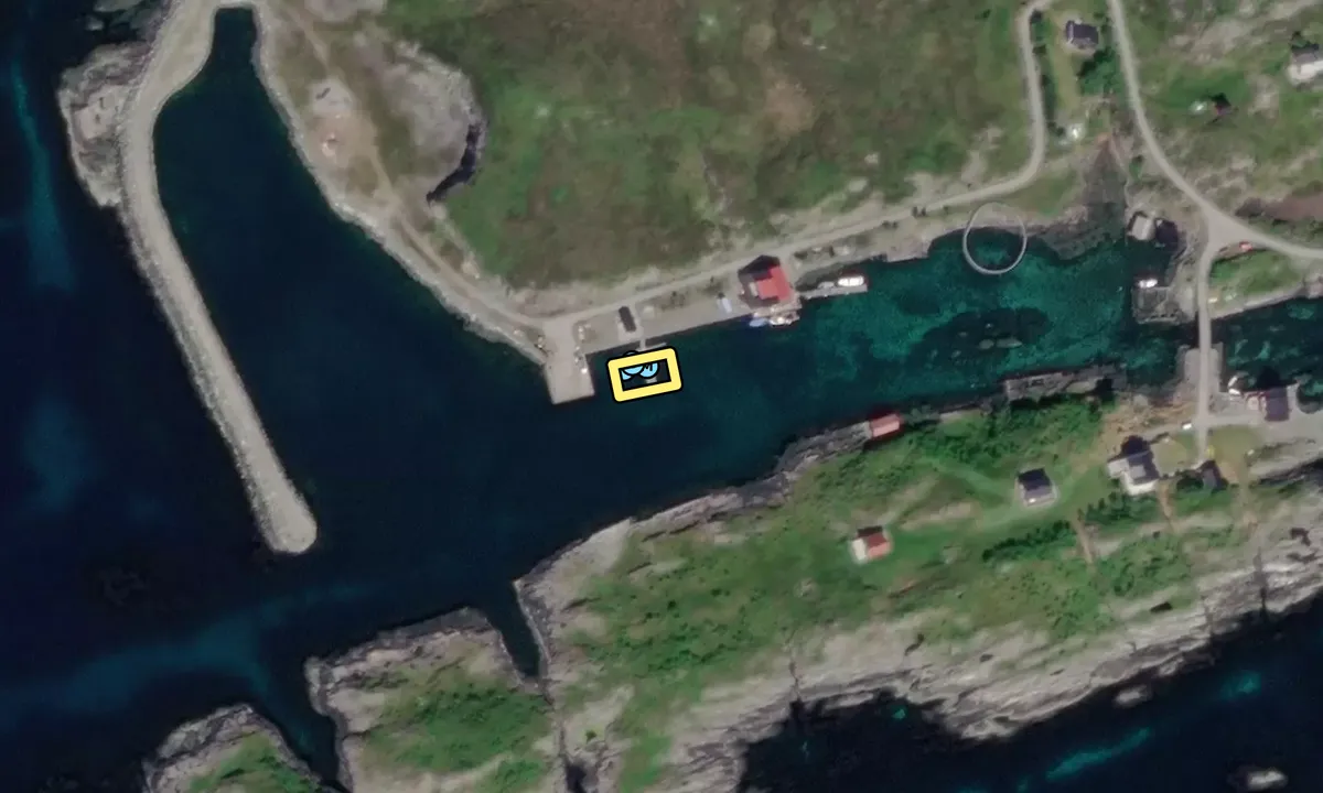 Satelite image of Æsundet