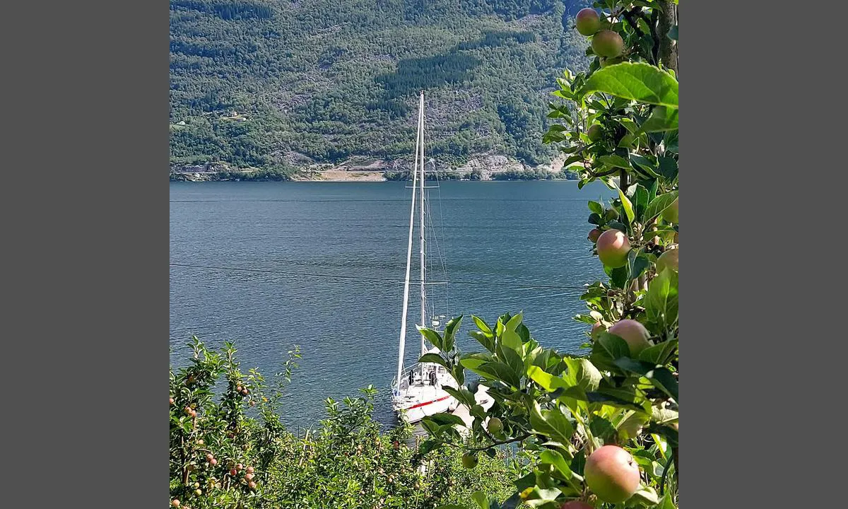 Aga Gjestehamn: {"base": "no", "no": "Flott sider og frukt til salgs i umiddelbar n\u00e6rhet.", "se": "Fin cider och frukt till salu i omedelbar n\u00e4rhet.", "en": "Great cider and fruit for sale in the immediate vicinity.", "da": "L\u00e6kker cider og frugt til salg i umiddelbar n\u00e6rhed."}