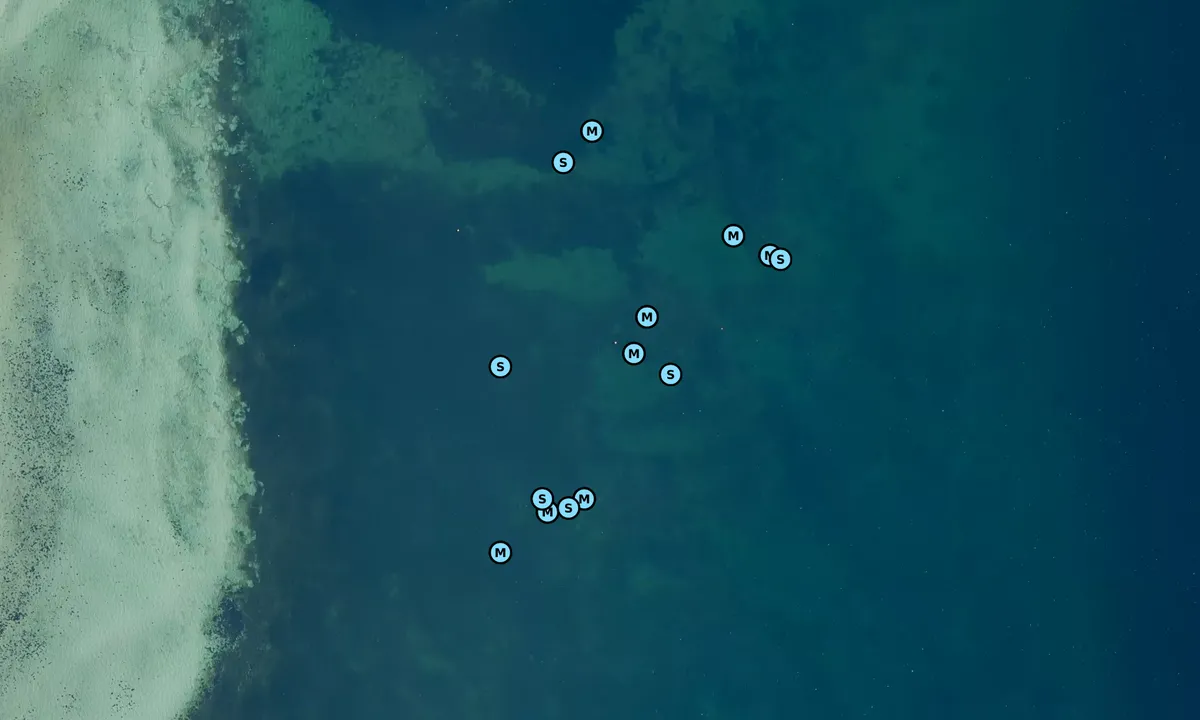 Satelite image of Agersø - Bøgevig bouy