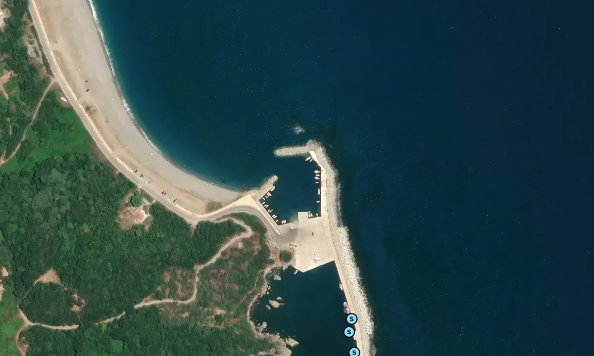 Satelite image of Agiocampos dock