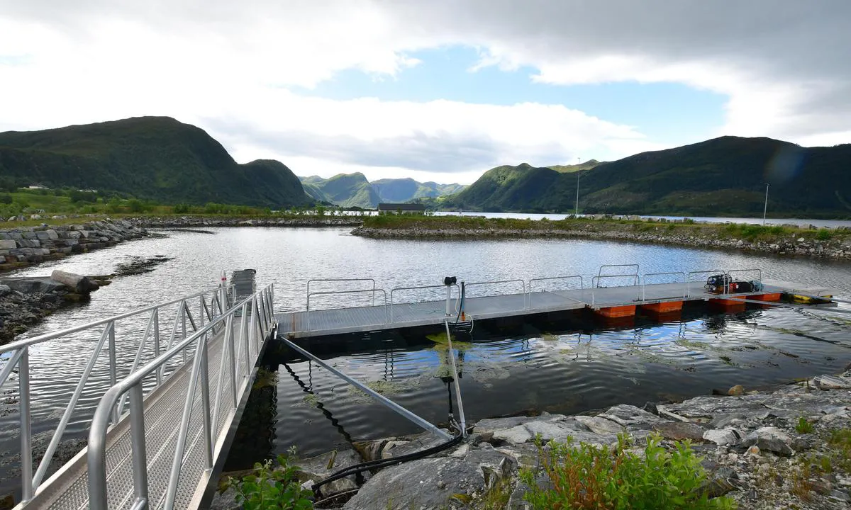 Åheim