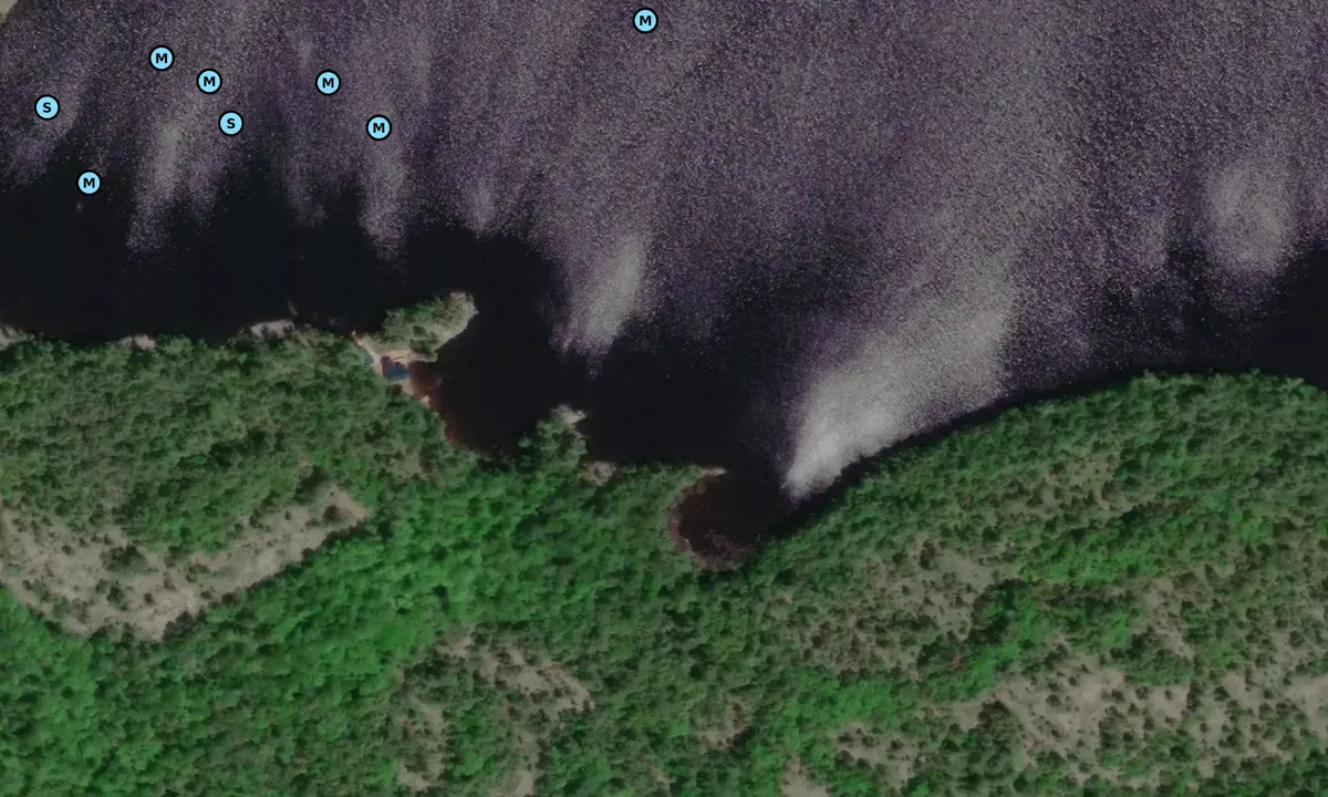 Satelite image of Aird Island