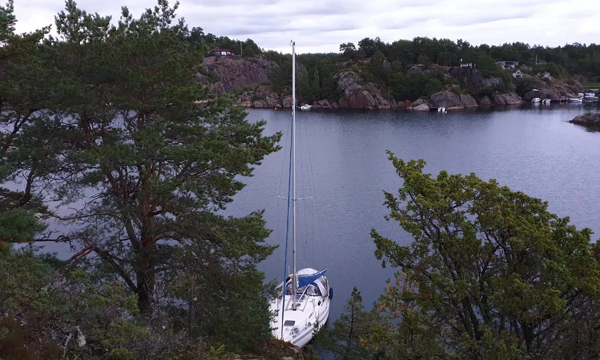 Åkvåg Killen: {"base": "no", "no": "Noen f\u00e5 steder det er mulig \u00e5 stikke nesa mot land og dregge bak. Lite bolter s\u00e5 v\u00e6r klar med bergkiler og evt. fort\u00f8yning i tr\u00e6r. Ogs\u00e5 mulig \u00e5 ligge p\u00e5 svai med varierende dybder og noe b\u00e5ttrafikk.", "se": "P\u00e5 n\u00e5gra f\u00e5 st\u00e4llen \u00e4r det m\u00f6jligt att sticka n\u00e4san mot land och ankra bak\u00e5t. F\u00e5 bultar s\u00e5 var redo med bergkilar och ev. f\u00f6rt\u00f6jning i tr\u00e4d. Ocks\u00e5 m\u00f6jligt att ligga p\u00e5 svaj med varierande djup och lite b\u00e5ttrafik.", "en": "There are a few places where it is possible to nose towards land and anchor astern. Few bolts are available, so be ready with rock wedges and possibly moorings to trees. It is also possible to anchor with varying depths and some boat traffic.", "da": "Nogle f\u00e5 steder er det muligt at stikke n\u00e6sen mod land og ankre bagud. F\u00e5 bolte s\u00e5 v\u00e6r klar med fjeldkiler og evt. fort\u00f8jning i tr\u00e6er. Ogs\u00e5 muligt at ligge for svaj med varierende dybder og noget b\u00e5dtrafik."}
