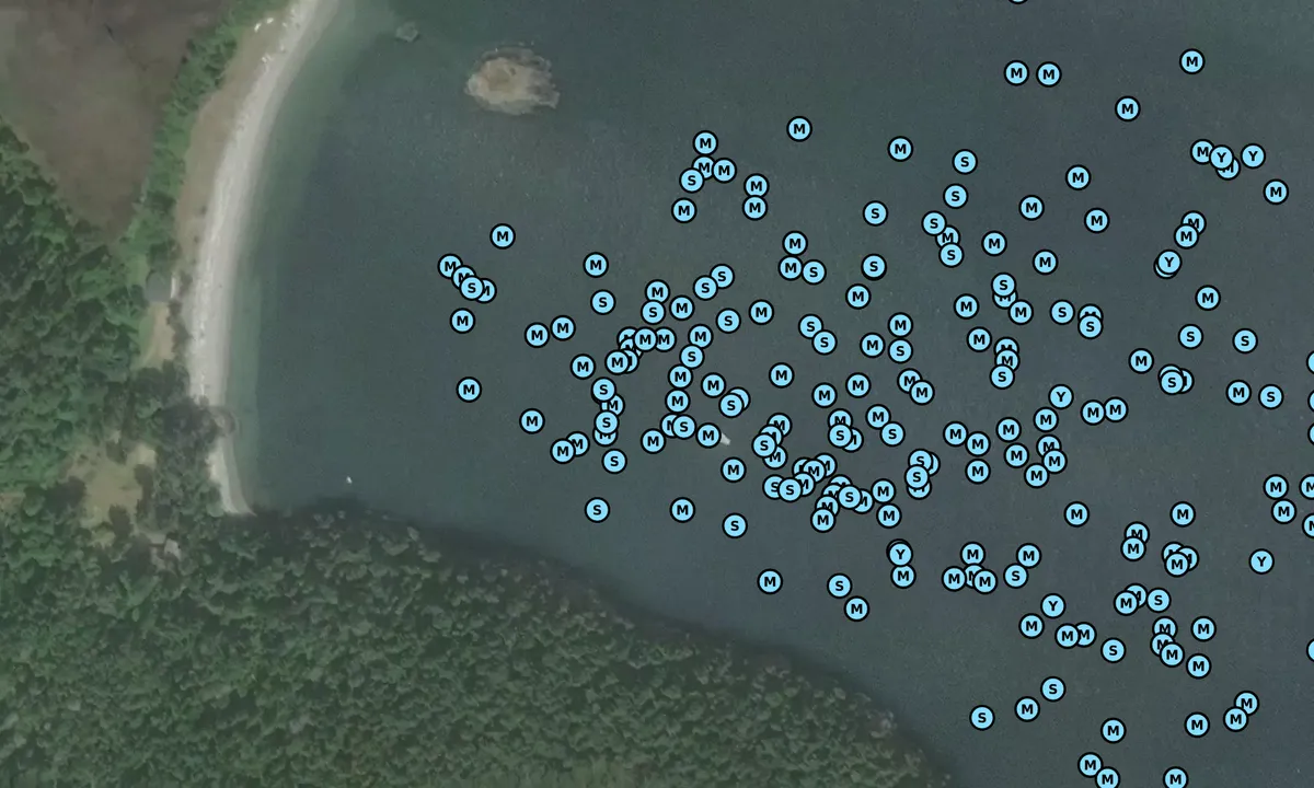 Satelite image of Aleck Bay