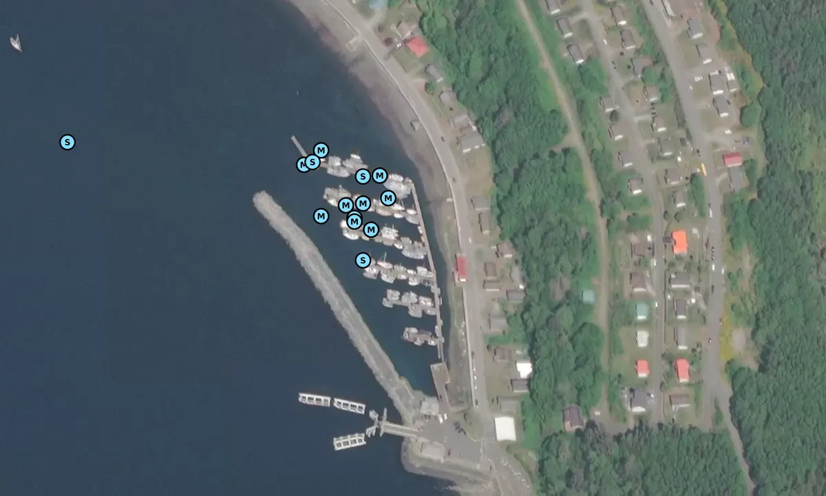 Satelite image of Alert Bay Boat Harbour