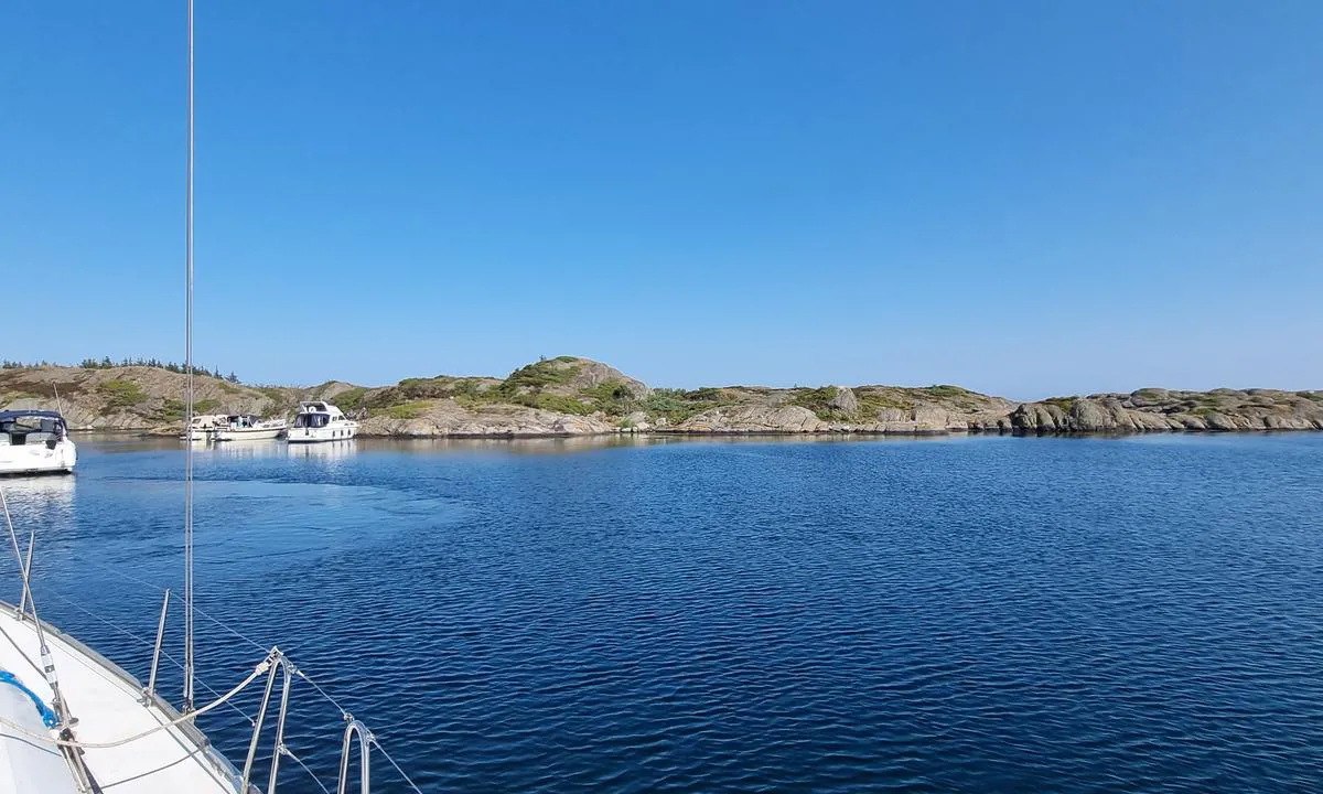 Ålesøya 