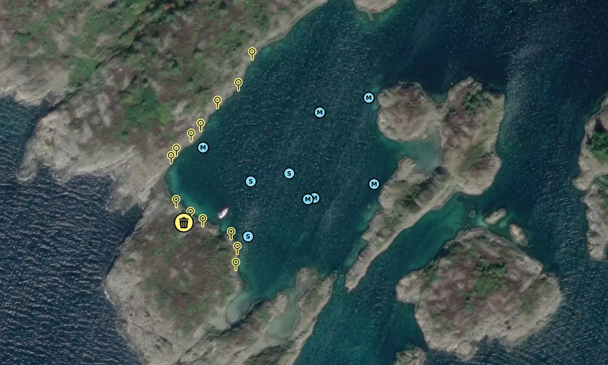 Satelite image of Ålesøya 