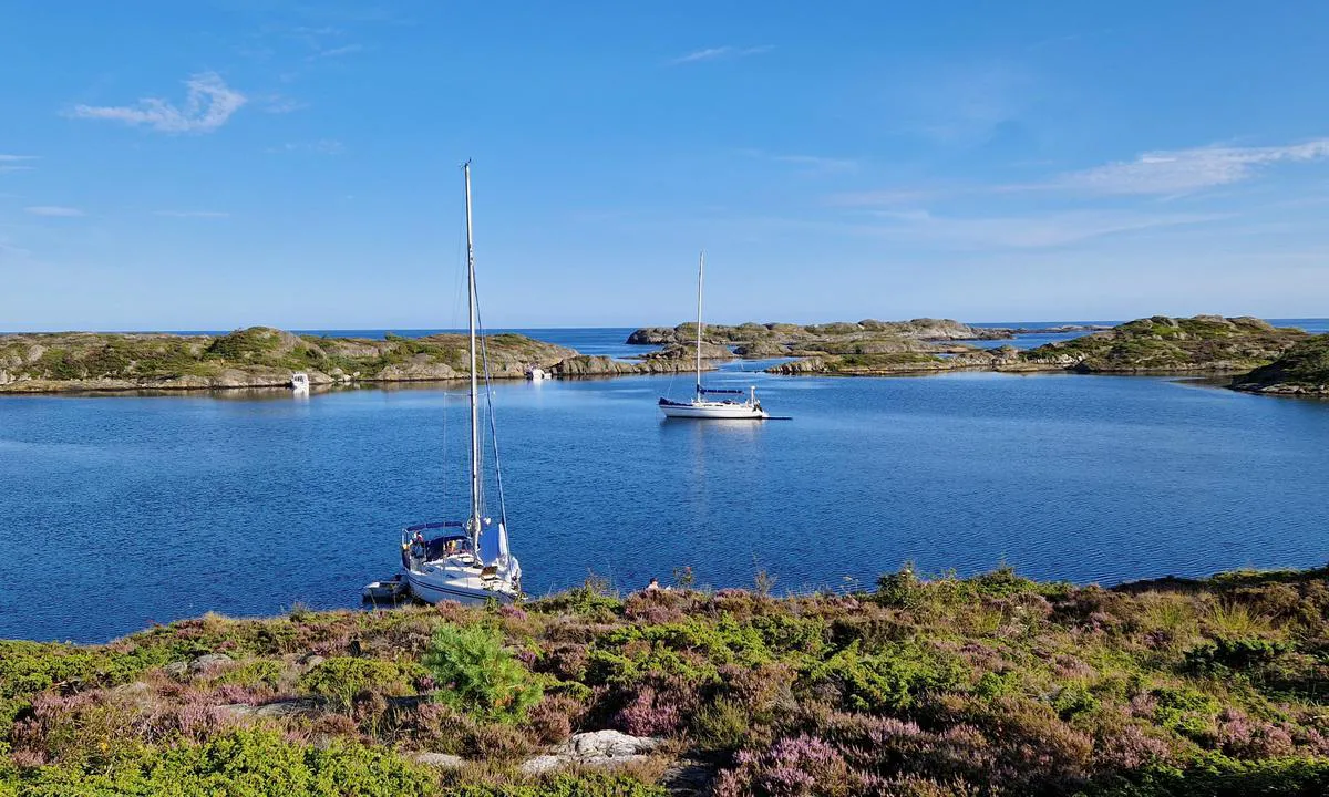 Ålesøya : {"base": "no", "no": "En perle av ett sted. Innseiling grei som beskrevet og som sj\u00f8kart. Fin sandbunn med ok feste. Bra svaidybde og gode dybder mot flere av oppsatte bolter. Ingen b\u00f8lger, ellers samme vind som p\u00e5 utsiden.", "se": "En p\u00e4rla av en plats. Insegling enkel som beskriven och som sj\u00f6kort. Fin sandbotten med bra f\u00e4ste. Bra dragdjup och goda djup vid flera av de uppr\u00e4ttade bultarna. Inga v\u00e5gor, annars samma vind som p\u00e5 utsidan.", "en": "A gem of a place. Entry is straightforward as described and as per the nautical chart. Fine sandy bottom with adequate holding. Good swinging depth and good depths towards several set bolts. No waves, otherwise same wind as outside.", "da": "En perle af et sted. Indsejling let som beskrevet og som s\u00f8kort. Fin sandbund med ok f\u00e6ste. God svajedybde og gode dybder ved flere af oprettede bolte. Ingen b\u00f8lger, ellers samme vind som udenfor.", "fr": "Un petit bijou de lieu. Entr\u00e9e facile comme d\u00e9crit et comme sur la carte marine. Fond de sable fin avec une bonne prise. Bonne profondeur pour l'ancre et bonnes profondeurs vers plusieurs des bou\u00e9es install\u00e9es. Pas de vagues, sinon le m\u00eame vent que dehors.", "de": "Ein Juwel von einem Ort. Die Zufahrt ist wie beschrieben und nach der Seekarte in Ordnung. Feiner Sandboden mit gutem Halt. Gute Ankergrundtiefe und gute Tiefen in Richtung mehrerer der eingerichteten Bolzen. Keine Wellen, ansonsten gleiche Windverh\u00e4ltnisse wie au\u00dferhalb.", "es": "Una joya de lugar. Acceso navegable tal como se describe y como en el carta n\u00e1utica. Buen fondo de arena con amarre aceptable. Buena profundidad de anclaje y buenas profundidades hacia varios de los pernos colocados. Sin olas, aunque con el mismo viento que afuera.", "it": "Una perla di posto. Entrata agevole come descritto e come da carte nautiche. Fondale sabbioso fine con buona tenuta. Buona profondit\u00e0 di rada e buone profondit\u00e0 verso diversi bulloni posizionati. Nessuna onda, altrimenti stesso vento come all'esterno.", "pt": "Uma joia de lugar. Entrada f\u00e1cil como descrito e conforme o mapa mar\u00edtimo. Fundo de areia fina com bom ancoradouro. Boa profundidade para fundeio e boas profundidades em torno de v\u00e1rios pontos de ancoragem fixos. Sem ondas, ventos iguais aos de fora.", "nl": "Een parel van een plek. Toegang gemakkelijk zoals beschreven en zoals op de zeekaart. Fijne zandgrond met goede grip. Goede diepte voor ankeren en goede diepten bij verschillende geplaatste bouten. Geen golven, verder dezelfde wind als buiten.", "pl": "Per\u0142a w\u015br\u00f3d miejsc. Wp\u0142ywanie \u0142atwe jak opisane i wed\u0142ug mapy morskiej. Pi\u0119kne piaszczyste dno z dobrym uchwytem. Dobra g\u0142\u0119boko\u015b\u0107 zawisu i odpowiednie g\u0142\u0119boko\u015bci przy kilku ustawionych boltach. Brak fal, wiatr taki sam jak na zewn\u0105trz.", "uk": "\u041f\u0435\u0440\u043b\u0438\u043d\u0430 \u0441\u0435\u0440\u0435\u0434 \u043c\u0456\u0441\u0446\u044c. \u0417\u0430\u0445\u0456\u0434 \u0434\u043e \u0433\u0430\u0432\u0430\u043d\u0456 \u043b\u0435\u0433\u043a\u0438\u0439, \u044f\u043a \u043e\u043f\u0438\u0441\u0430\u043d\u043e, \u0456 \u044f\u043a \u043d\u0430 \u043c\u043e\u0440\u0441\u044c\u043a\u0456\u0439 \u043a\u0430\u0440\u0442\u0456. \u0414\u043e\u0431\u0440\u0435 \u043f\u0456\u0449\u0430\u043d\u0435 \u0434\u043d\u043e \u0437 \u043d\u0430\u0434\u0456\u0439\u043d\u0438\u043c \u044f\u043a\u043e\u0440\u043d\u0438\u043c \u0442\u0440\u0438\u043c\u0430\u043d\u043d\u044f\u043c. \u0413\u0430\u0440\u043d\u0430 \u044f\u043a\u0456\u0440\u043d\u0430 \u0433\u043b\u0438\u0431\u0438\u043d\u0430 \u0456 \u0445\u043e\u0440\u043e\u0448\u0456 \u0433\u043b\u0438\u0431\u0438\u043d\u0438 \u0431\u0456\u043b\u044f \u043a\u0456\u043b\u044c\u043a\u043e\u0445 \u0432\u0441\u0442\u0430\u043d\u043e\u0432\u043b\u0435\u043d\u0438\u0445 \u0431\u043e\u043b\u0442\u0456\u0432. \u0425\u0432\u0438\u043b\u044c \u043d\u0435\u043c\u0430\u0454, \u0432\u0456\u0442\u0435\u0440 \u0442\u0430\u043a\u0438\u0439 \u0441\u0430\u043c\u0438\u0439, \u044f\u043a \u0437\u043e\u0432\u043d\u0456.", "ro": "O perl\u0103 de loc. Acces u\u0219or, dup\u0103 cum este descris \u0219i pe harta maritim\u0103. Fund de nisip fin cu aderen\u021b\u0103 bun\u0103. Ad\u00e2ncime de ancorare bun\u0103 \u0219i ad\u00e2ncimi bune l\u00e2ng\u0103 mai multe dintre bol\u021bile a\u0219ezate. Niciun val, doar acela\u0219i v\u00e2nt ca pe exterior.", "tr": "Bir inci gibi bir yer. Tan\u0131mland\u0131\u011f\u0131 gibi ve deniz haritas\u0131nda belirtilen \u015fekliyle kolay giri\u015f. G\u00fczel bir kum taban\u0131 ve iyi bir tutunma. \u0130yi demirleme derinli\u011fi ve birka\u00e7 sabitlenen c\u0131vataya do\u011fru iyi derinlikler. Dalga yok, di\u011fer taraftan ayn\u0131 r\u00fczgar.", "el": "\u0388\u03bd\u03b1 \u03ba\u03cc\u03c3\u03bc\u03b7\u03bc\u03b1 \u03b1\u03c0\u03cc \u03bc\u03ad\u03c1\u03bf\u03c2. \u0397 \u03b5\u03af\u03c3\u03bf\u03b4\u03bf\u03c2 \u03b5\u03af\u03bd\u03b1\u03b9 \u03b5\u03cd\u03ba\u03bf\u03bb\u03b7 \u03cc\u03c0\u03c9\u03c2 \u03c0\u03b5\u03c1\u03b9\u03b3\u03c1\u03ac\u03c6\u03b5\u03c4\u03b1\u03b9 \u03ba\u03b1\u03b9 \u03cc\u03c0\u03c9\u03c2 \u03c3\u03c4\u03bf\u03bd \u03b8\u03b1\u03bb\u03ac\u03c3\u03c3\u03b9\u03bf \u03c7\u03ac\u03c1\u03c4\u03b7. \u039a\u03b1\u03bb\u03cc\u03c2 \u03b1\u03bc\u03bc\u03ce\u03b4\u03b7\u03c2 \u03b2\u03c5\u03b8\u03cc\u03c2 \u03bc\u03b5 \u03ba\u03b1\u03bb\u03cc \u03ba\u03c1\u03ac\u03c4\u03b7\u03bc\u03b1. \u039a\u03b1\u03bb\u03ae \u03b2\u03ac\u03b8\u03b7 \u03b1\u03b3\u03ba\u03c5\u03c1\u03bf\u03b2\u03bf\u03bb\u03af\u03b1\u03c2 \u03ba\u03b1\u03b9 \u03ba\u03b1\u03bb\u03ad\u03c2 \u03b2\u03ac\u03b8\u03b7 \u03ba\u03bf\u03bd\u03c4\u03ac \u03c3\u03b5 \u03c0\u03bf\u03bb\u03bb\u03bf\u03cd\u03c2 \u03b1\u03c0\u03cc \u03c4\u03bf\u03c5\u03c2 \u03c4\u03bf\u03c0\u03bf\u03b8\u03b5\u03c4\u03b7\u03bc\u03ad\u03bd\u03bf\u03c5\u03c2 \u03ba\u03bf\u03c7\u03bb\u03af\u03b5\u03c2. \u03a7\u03c9\u03c1\u03af\u03c2 \u03ba\u03cd\u03bc\u03b1\u03c4\u03b1, \u03bf \u03ac\u03bd\u03b5\u03bc\u03bf\u03c2 \u03b5\u03af\u03bd\u03b1\u03b9 \u03bf \u03af\u03b4\u03b9\u03bf\u03c2 \u03cc\u03c0\u03c9\u03c2 \u03ad\u03be\u03c9.", "cs": "Klenot mezi m\u00edsty. P\u0159\u00edstupov\u00e1 cesta je jasn\u00e1, jak je pops\u00e1no a jak je uvedeno na n\u00e1mo\u0159n\u00edch map\u00e1ch. P\u011bkn\u00e9 p\u00eds\u010dit\u00e9 dno s dobr\u00fdm dr\u017een\u00edm. Dobr\u00e1 hloubka p\u0159i kotven\u00ed a dobr\u00e9 hloubky sm\u011brem k n\u011bkolika upevn\u011bn\u00fdm kotv\u00e1m. \u017d\u00e1dn\u00e9 vlny, jinak stejn\u00fd v\u00edtr jako venku.", "hu": "Egy gy\u00f6ngyszem. A bej\u00e1rat egyszer\u0171, ahogy le\u00edrt\u00e1k, \u00e9s ahogy a tengeri t\u00e9rk\u00e9pen van. Finom homokos talaj j\u00f3 fog\u00e1ssal. J\u00f3 horgonyz\u00f3 m\u00e9lys\u00e9g \u00e9s j\u00f3 m\u00e9lys\u00e9gek t\u00f6bb horgonycsapn\u00e1l. Nincsenek hull\u00e1mok, ugyanaz a sz\u00e9l, mint k\u00edv\u00fcl.", "fi": "Todella kaunis paikka. Sis\u00e4\u00e4najo helppo kuten kuvattu ja merikartan mukainen. Hieno hiekkapohja, jossa hyv\u00e4 pito. Hyv\u00e4 ankkurointisyvyys ja hyv\u00e4t syvyydet useiden kiinnityspulteista. Ei aaltoja, muuten sama tuuli kuin ulkopuolella.", "bg": "\u0415\u0434\u043d\u043e \u043f\u0440\u0435\u043a\u0440\u0430\u0441\u043d\u043e \u043c\u044f\u0441\u0442\u043e. \u0412\u043b\u0438\u0437\u0430\u043d\u0435\u0442\u043e \u0432 \u043f\u0440\u0438\u0441\u0442\u0430\u043d\u0438\u0449\u0435\u0442\u043e \u0435 \u043b\u0435\u0441\u043d\u043e, \u043a\u0430\u043a\u0442\u043e \u0435 \u043e\u043f\u0438\u0441\u0430\u043d\u043e \u0438 \u0432 \u043c\u043e\u0440\u0441\u043a\u0430\u0442\u0430 \u043a\u0430\u0440\u0442\u0430. \u0424\u0438\u043d\u043e \u043f\u044f\u0441\u044a\u0447\u043d\u043e \u0434\u044a\u043d\u043e \u0441 \u0434\u043e\u0431\u0440\u043e \u0437\u0430\u0445\u0432\u0430\u0449\u0430\u043d\u0435. \u0414\u043e\u0431\u0440\u0430 \u0434\u044a\u043b\u0431\u043e\u0447\u0438\u043d\u0430 \u0437\u0430 \u0446\u0435\u043f\u0432\u0430\u043d\u0435 \u0438 \u0434\u043e\u0431\u0440\u0438 \u0434\u044a\u043b\u0431\u043e\u0447\u0438\u043d\u0438 \u043e\u043a\u043e\u043b\u043e \u043d\u044f\u043a\u043e\u043b\u043a\u043e \u043f\u043e\u0441\u0442\u0430\u0432\u0435\u043d\u0438 \u0431\u043e\u043b\u0442\u0430. \u041d\u0438\u043a\u0430\u043a\u0432\u0438 \u0432\u044a\u043b\u043d\u0438, \u0441\u044a\u0449\u0438\u044f\u0442 \u0432\u044f\u0442\u044a\u0440 \u043a\u0430\u0442\u043e \u043e\u0442\u0432\u044a\u043d.", "sr": "Dragulj me\u0111u mestima. Prilaz je jednostavan kao \u0161to je opisano i kao na pomorskoj karti. Fino pjeskovito dno sa dobrim dr\u017eanjem. Dobra dubina za snast i odgovaraju\u0107e dubine prema nekoliko postavljenih vijaka. Nema talasa, vetar je isti kao spolja.", "et": "Imeline koht. Sisses\u00f5it on lihtne, nagu kirjeldatud ja nagu merekaardil. Hea liivap\u00f5hi korraliku ankrupidamisega. Hea ankru s\u00fcgavus ja sobivad s\u00fcgavused mitme paigaldatud pollari suunas. Ei mingeid laineid, muidu sama tuul nagu v\u00e4ljaspool.", "lv": "\u012astens p\u0113rle. Iebrauk\u0161ana ir vienk\u0101r\u0161a, k\u0101 aprakst\u012bts un k\u0101 redzams navig\u0101cijas kart\u0113. Smalkas smil\u0161u dibens ar labu nofiks\u0113\u0161anu. Laba dzi\u013cuma enkura vieta un pietiekamas dzi\u013cuma v\u0113rt\u012bbas pie vair\u0101kiem piestiprin\u0101tiem skr\u016bv\u0113m. Nav vi\u013c\u0146u, cit\u0101di t\u0101ds pats v\u0113j\u0161 k\u0101 \u0101rpus\u0113.", "lt": "Vien perlas. Priplaukimas paprastas kaip apra\u0161yta ir kaip j\u016brlapyje. Smulkus sm\u0117lio dugnas su pakankamai geru laikymu. Geras inkaravimo gylis ir tinkami gyliai prie keli\u0173 \u012frengt\u0173 akmen\u0173. Be bang\u0173, tas pats v\u0117jas kaip i\u0161or\u0117je."}