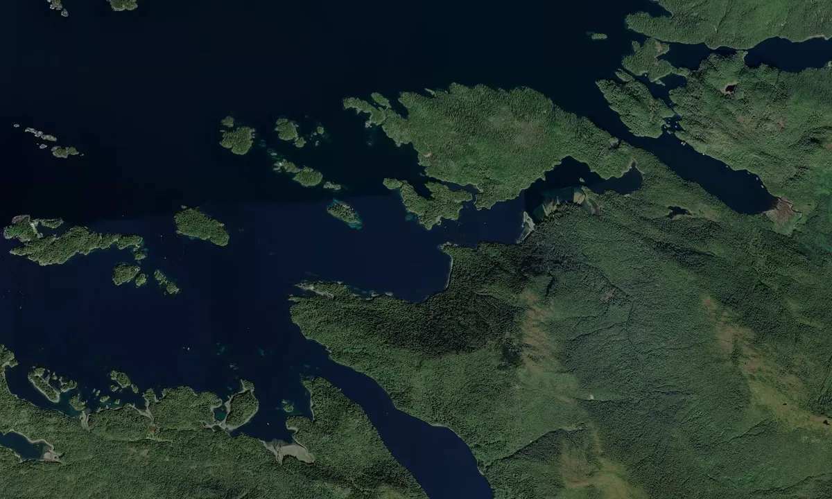 Flyfoto av Aleutkina Bay