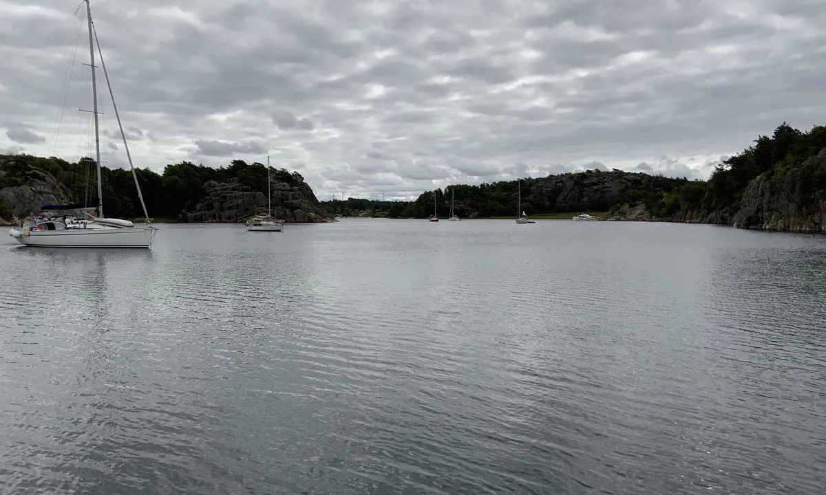 Alevikkilen - Lammön: Ligger trygt under «alle» forhold. Gjørmebunn med godt dreggfeste på svai, 2-5 m. dyp. Flere longside plasser.