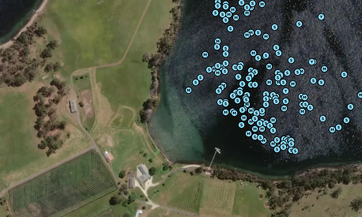 Satelite image of Alexanders