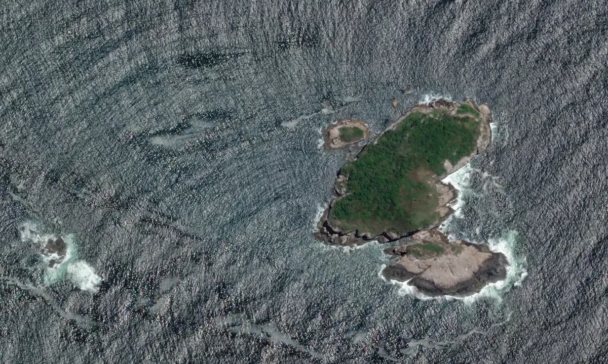 Satelite image of Alfavaca Island