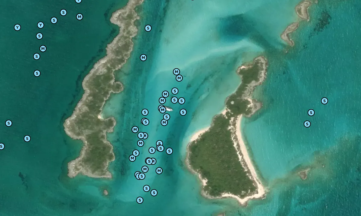 Satelite image of Allan and Leaf Cay