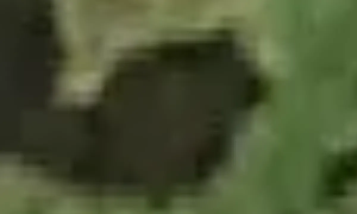 Satelite image of Smallesund (Ikerasaarsunnguaq) 61°33.1481N 49°14.8