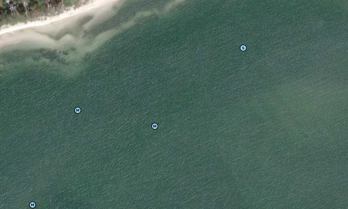 Satelite image of Alligator Harbor