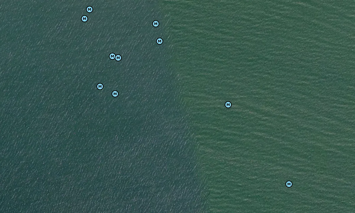 Satelite image of Alligator Point 2