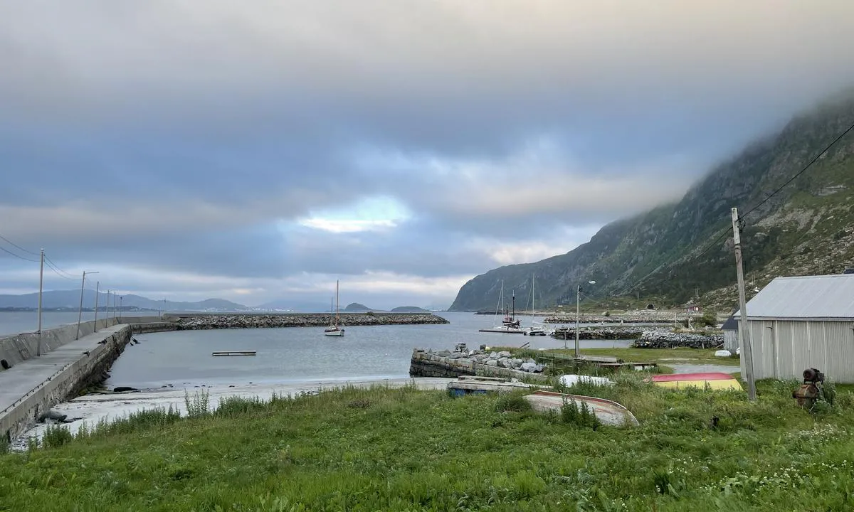 Alnes: {"base": "no", "no": "Havna med en liten badestrand", "se": "Hamn med en liten badstrand", "en": "The harbor with a small bathing beach", "da": "Havnen med en lille badestrand"}