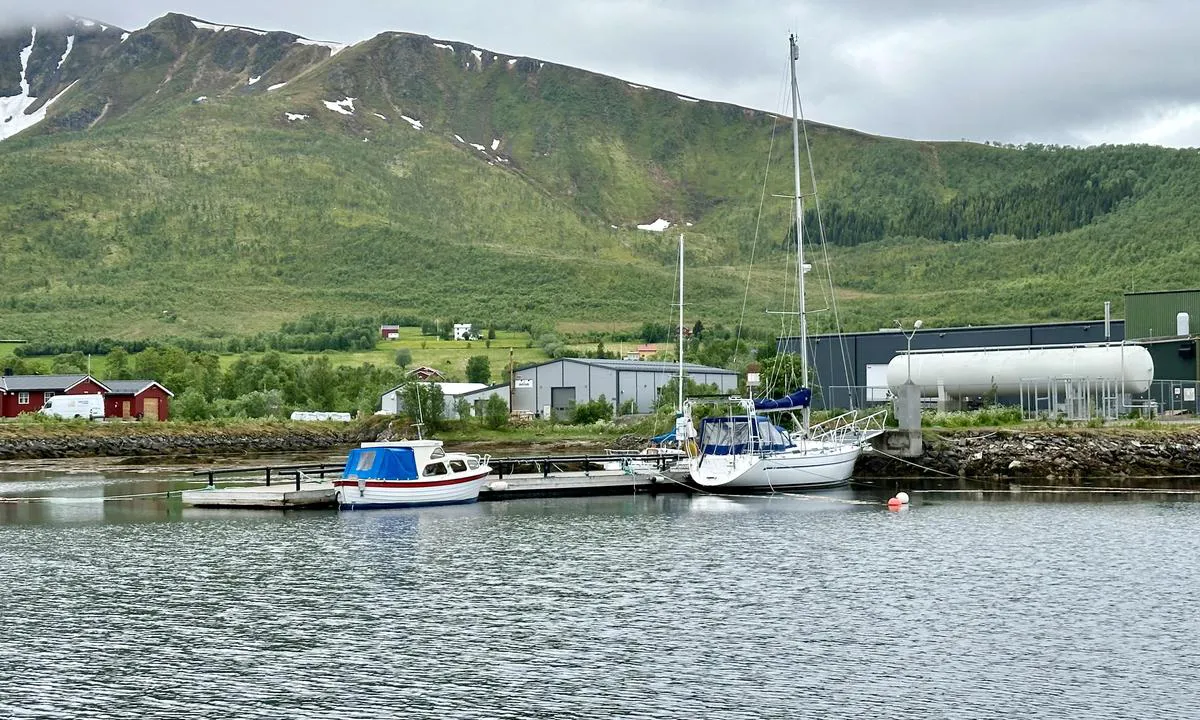 Alsvåg