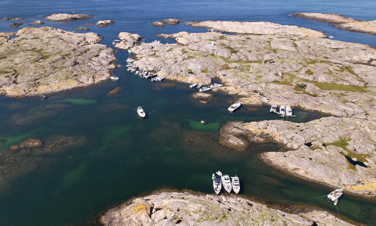 Altarholmen - Kyrkesund: {"base": "no", "no": "Mye grunner i hele omr\u00e5det. S\u00e5 her m\u00e5 du f\u00f8lge godt med. Men utrolig flott havn og super klart vann her ute:)", "se": "M\u00e5nga grund i hela omr\u00e5det. S\u00e5 h\u00e4r m\u00e5ste du vara uppm\u00e4rksam. Men oerh\u00f6rt vacker hamn och superklart vatten h\u00e4r ute :)", "en": "Many shoals in the entire area. So you have to stay very alert here. But an incredibly beautiful harbour and super clear water out here :)", "da": "Mange grunde i hele omr\u00e5det. S\u00e5 her m\u00e5 du holde godt \u00f8je. Men utrolig flot havn og super klart vand herude:)"}