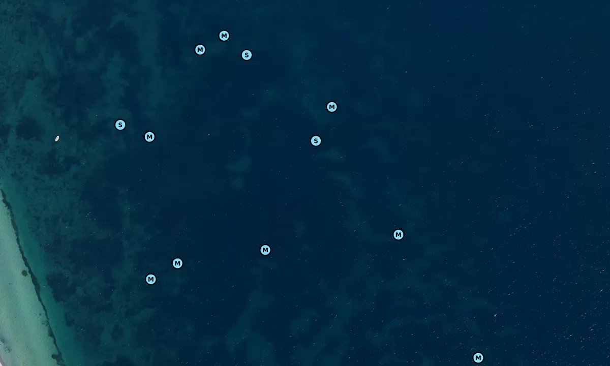 Satelite image of Amager Strandpark