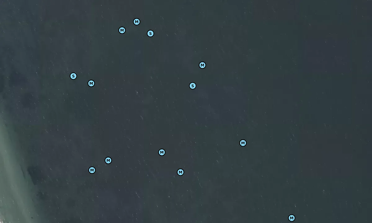 Satelite image of Amager Strandpark