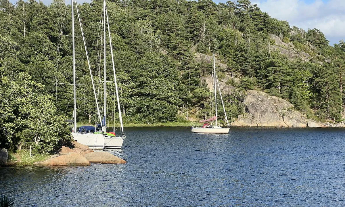 Amandas vik: {"base": "no", "no": "Her kan en ligge longside mot berget. Ogs\u00e5 mulig p\u00e5 svai.", "se": "H\u00e4r kan en ligga l\u00e5ngsides mot berget. Ocks\u00e5 m\u00f6jligt att ankra.", "en": "Here you can lie alongside the rock. Also possible to anchor.", "da": "Her kan man ligge langskibs mod klippen. Ogs\u00e5 muligt for anker."}