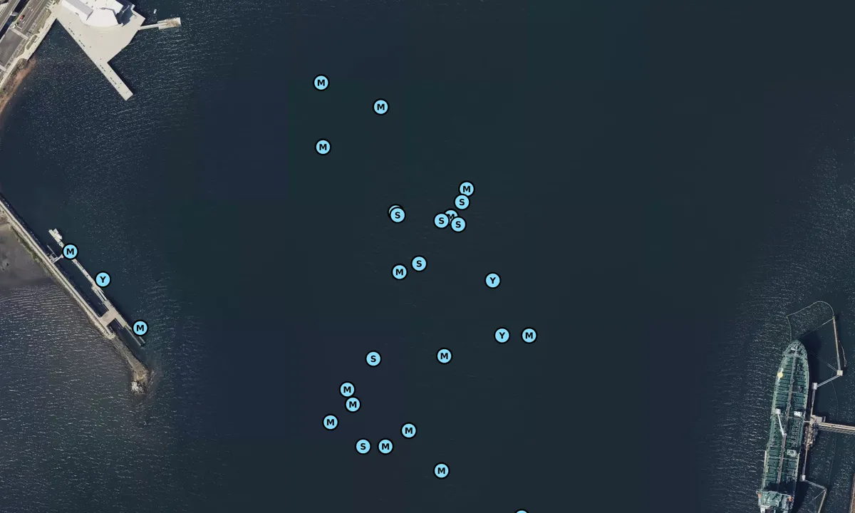 Satelite image of Amistad Dock