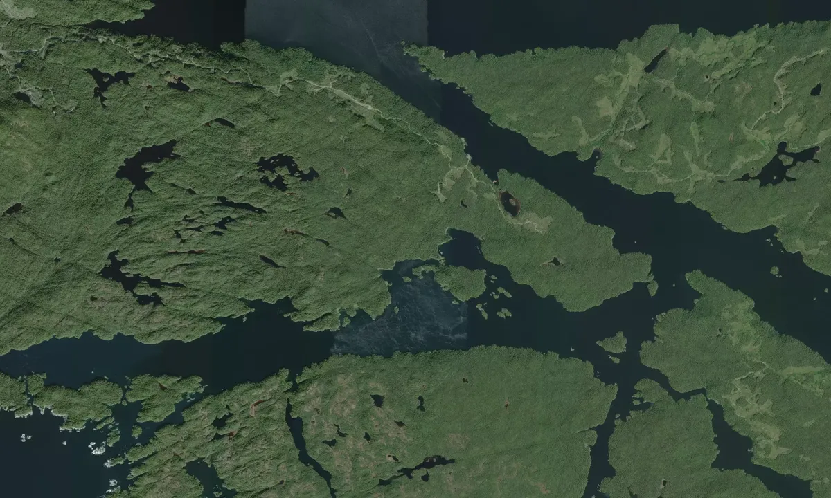 Flyfoto av Anchor I Cove East