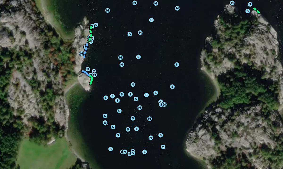 Satelite image of Angholmen