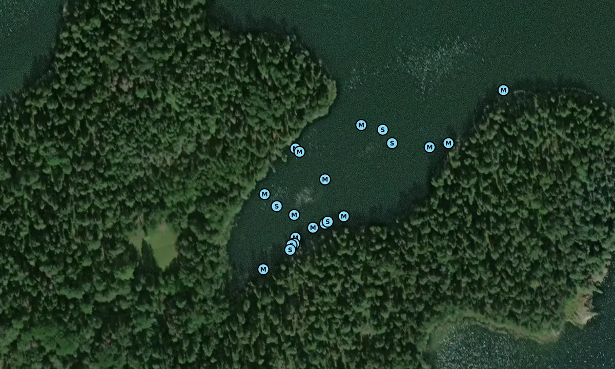 Satelite image of Angso