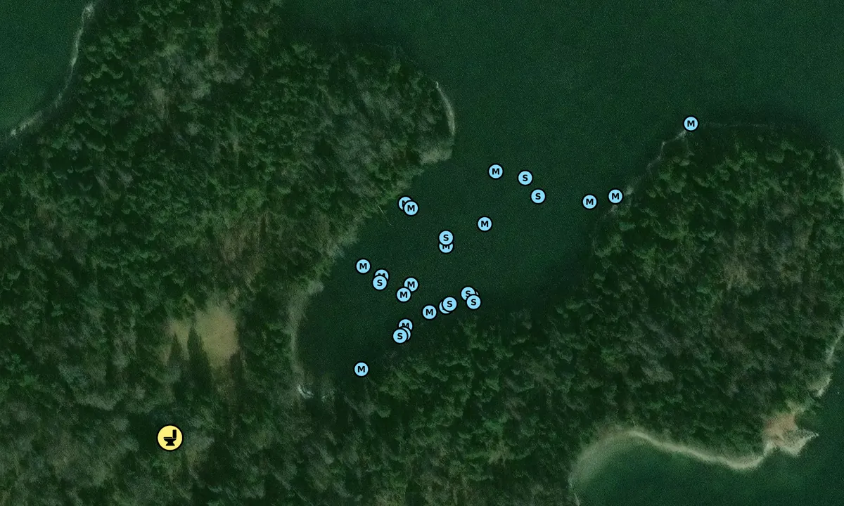 Ängsö - Svartviken: Satelite image of Angso