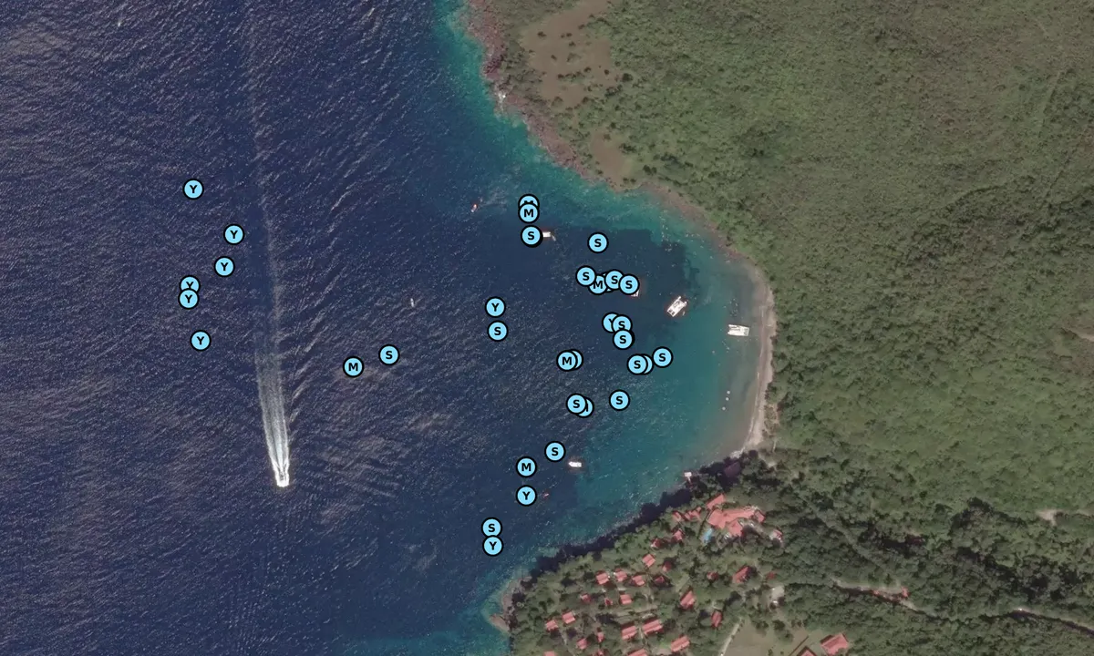 Satelite image of Anse Cochon