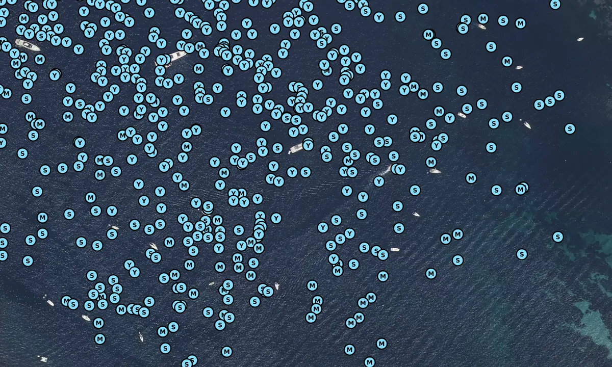 Satelite image of Anse de Canebiers