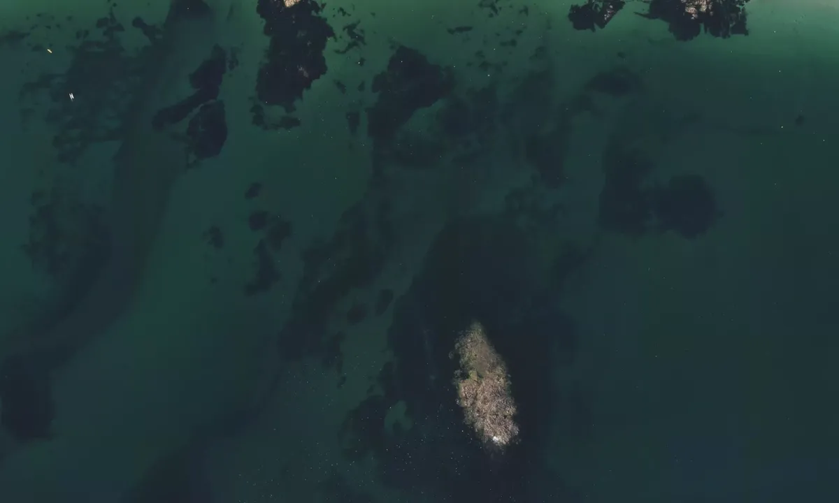 Flyfoto av Anse de Kerguélen