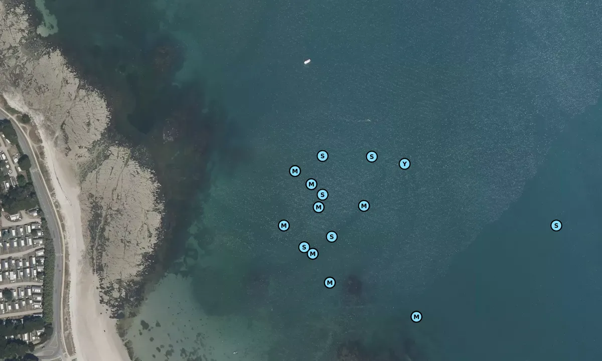 Satelite image of Anse du Conguel