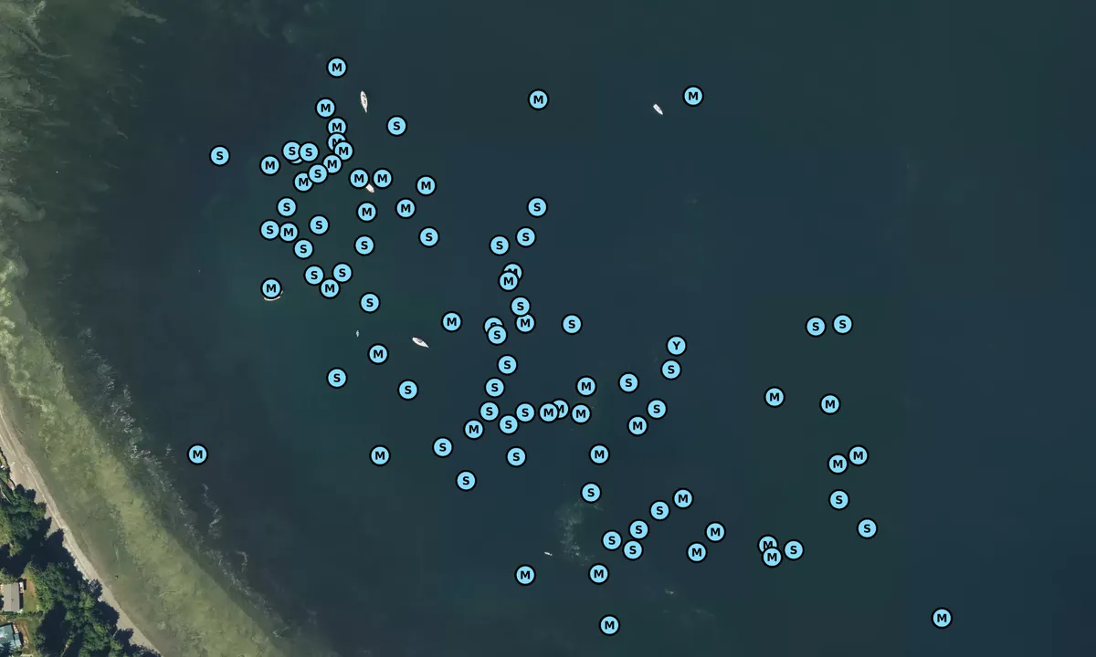 Satelite image of Appletree Cove