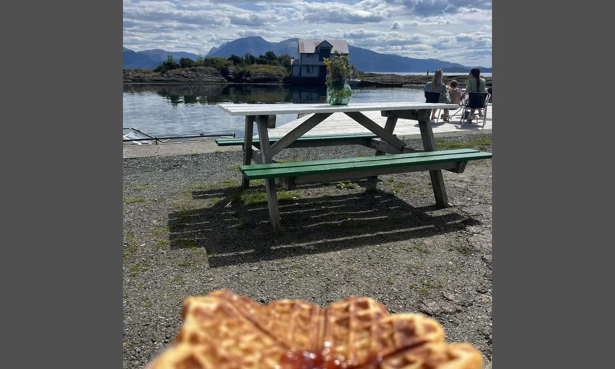 Årbakka Handelstad: {"base": "no", "no": "Nystekte vafler fra kiosken.", "se": "Nygr\u00e4ddade v\u00e5fflor fr\u00e5n kiosken.", "en": "Freshly baked waffles from the kiosk.", "da": "Nybagte vafler fra kiosken."}