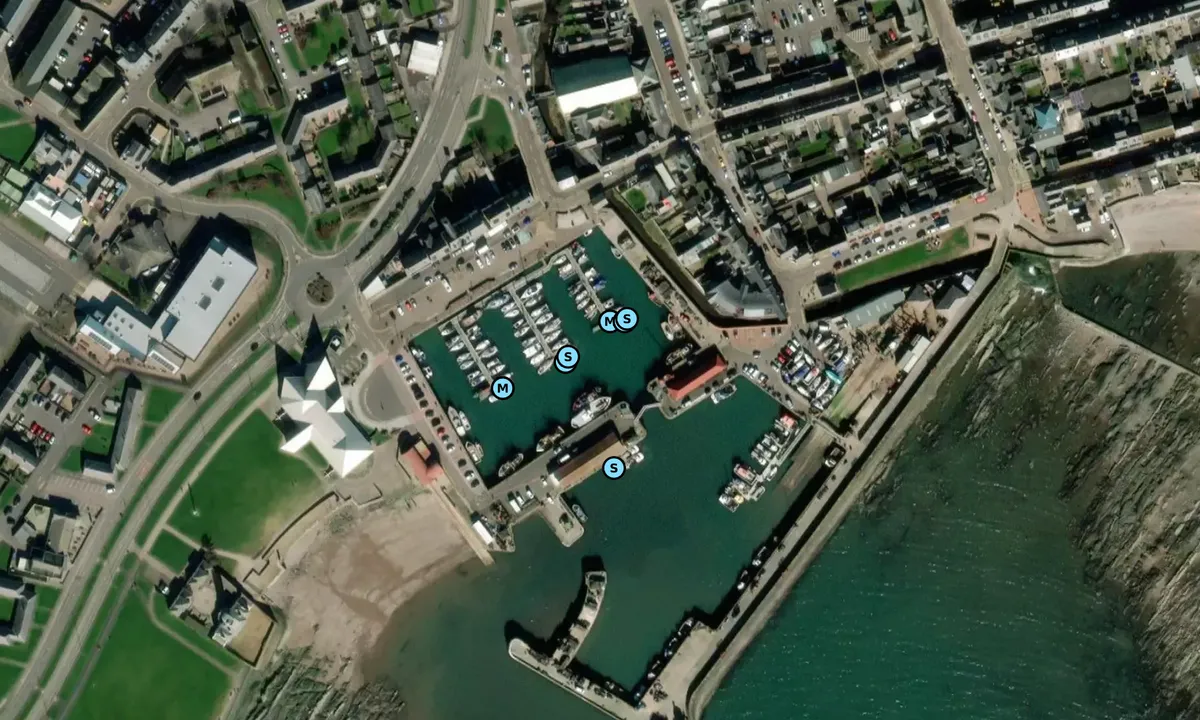 Satelite image of Arbroath Marina