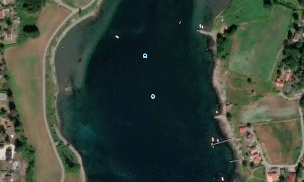 Satelite image of Årefjorden