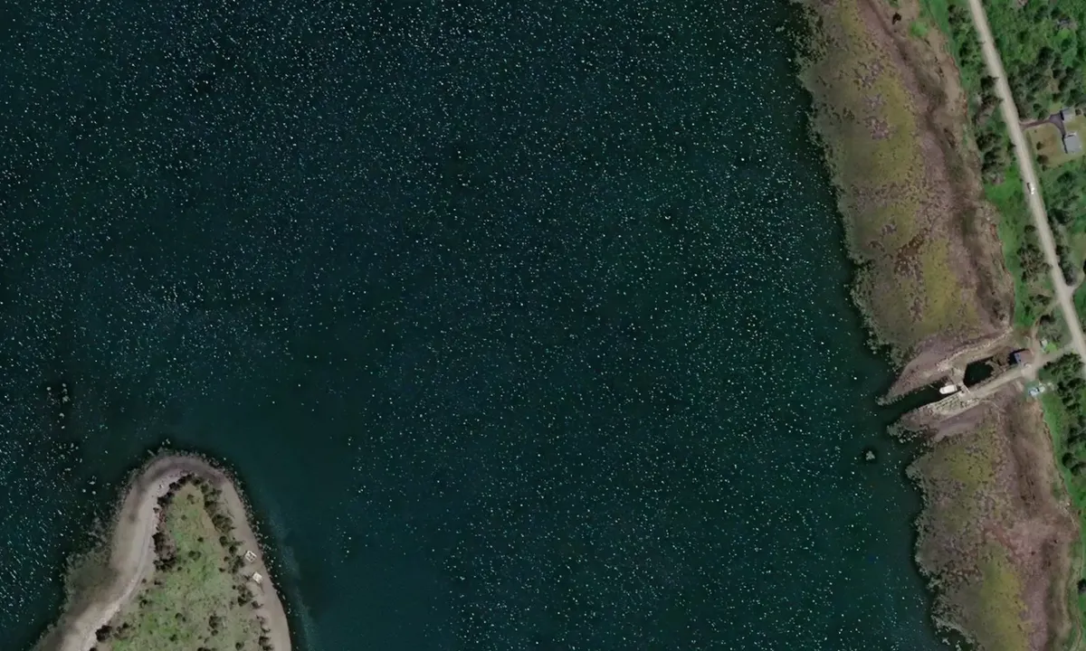 Satelite image of Argyle Sound North