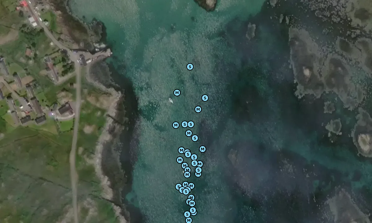 Satelite image of Arinagour Coll
