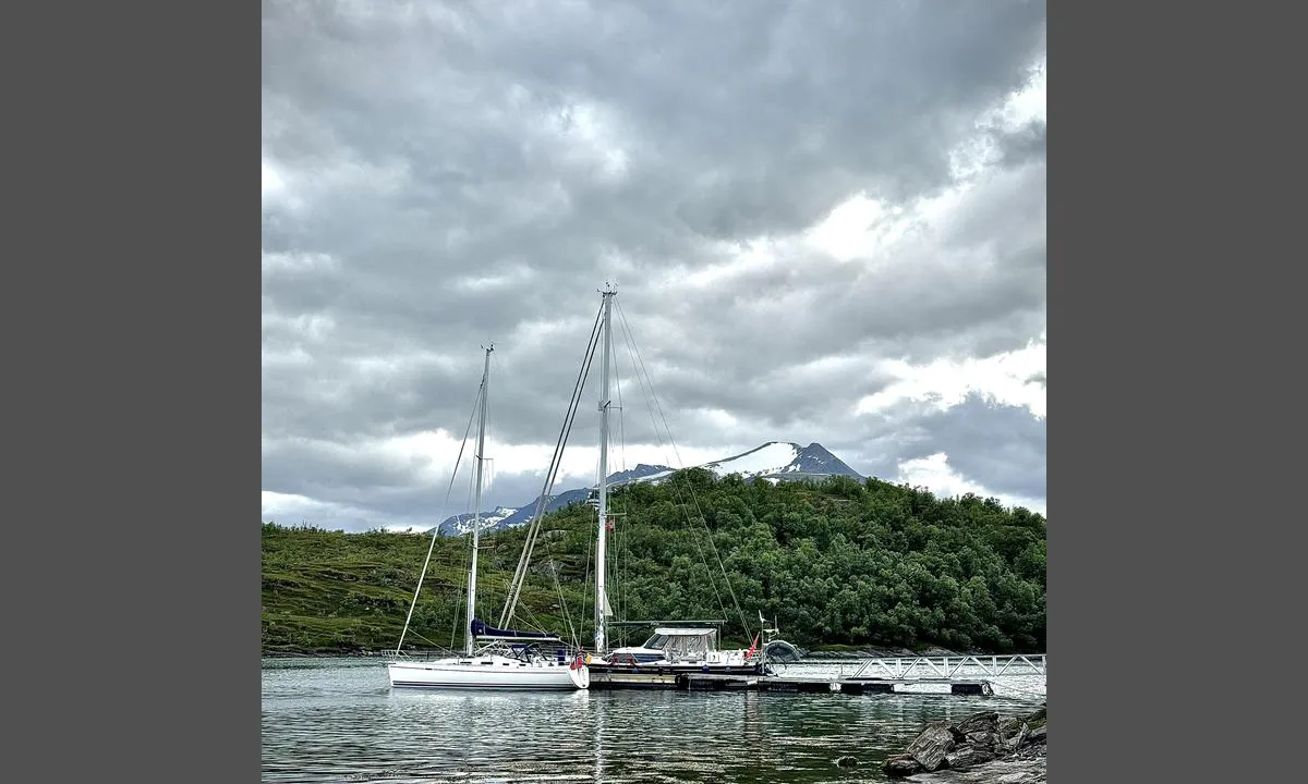 Årøyholmen